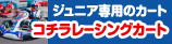 �R�`�����[�V���O�J�[�g