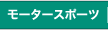 モータースポーツ