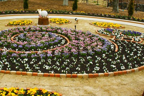 Denden Flower Garden
