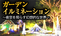 �K�[�f���C���~�l�[�V����