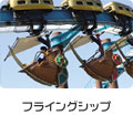 �t���C���O�V�b�v