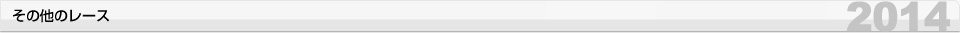 その他のレース