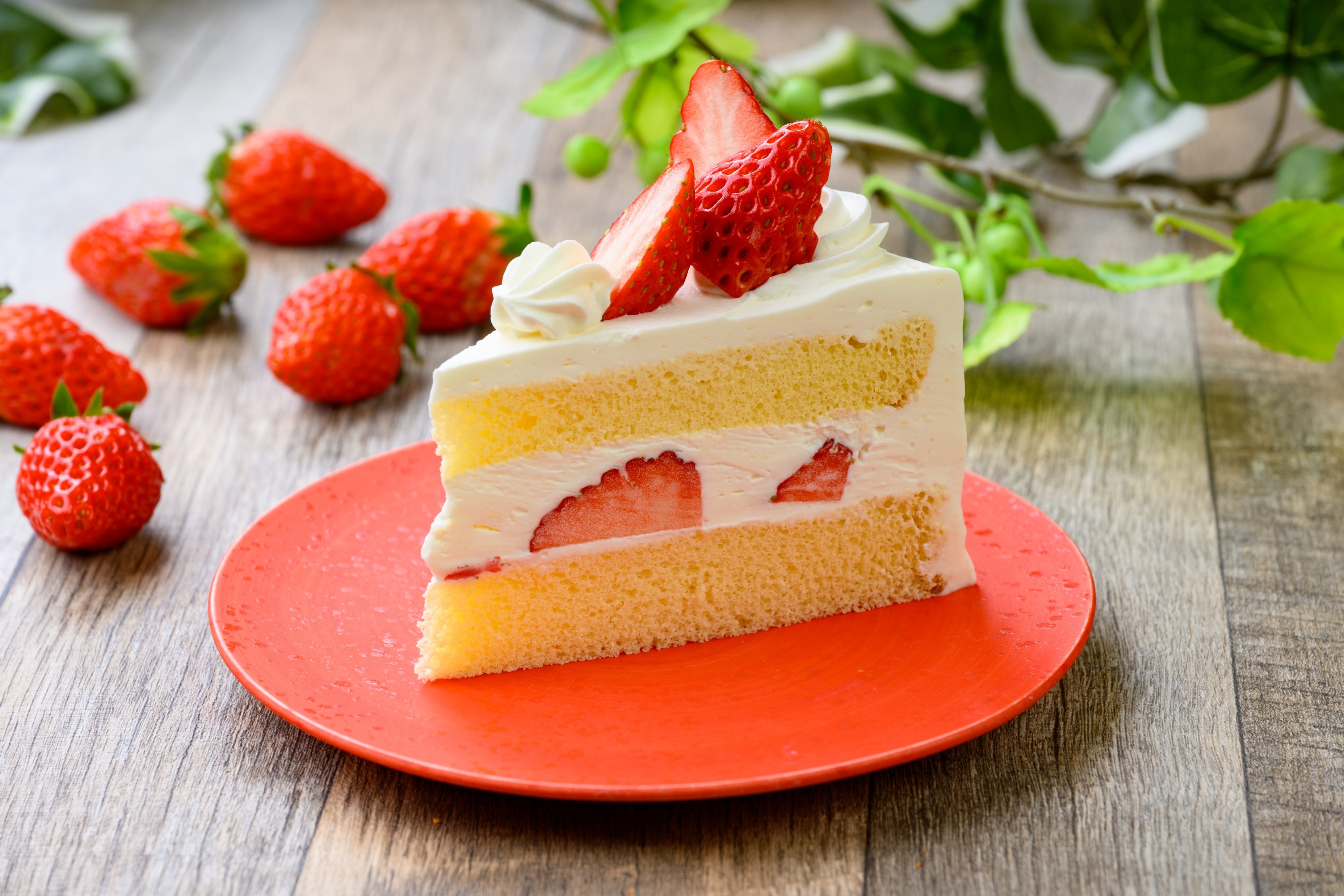 季節のショートケーキ　600円 ※時期によりフルーツの種類が変更となります