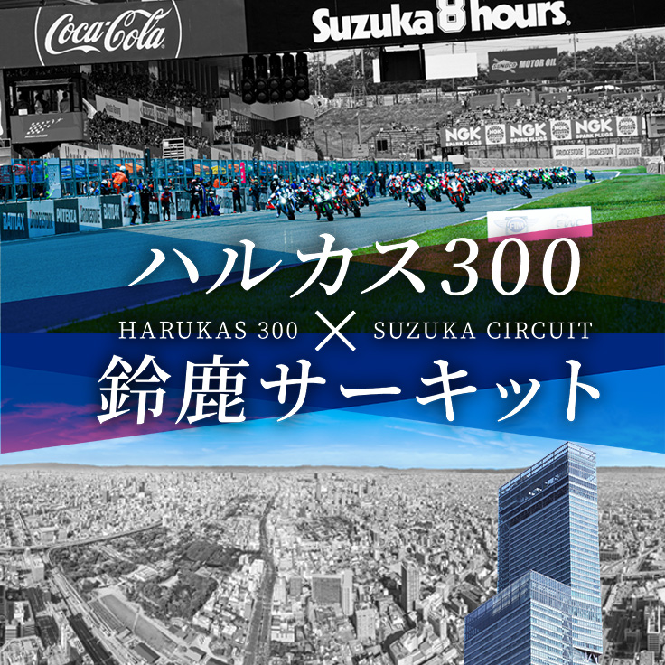 �n���J�X300�~�鎭�T�[�L�b�g�R���{