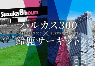 �n���J�X300�~�鎭�T�[�L�b�g�R���{