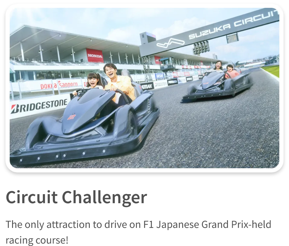 Circuit Challenger