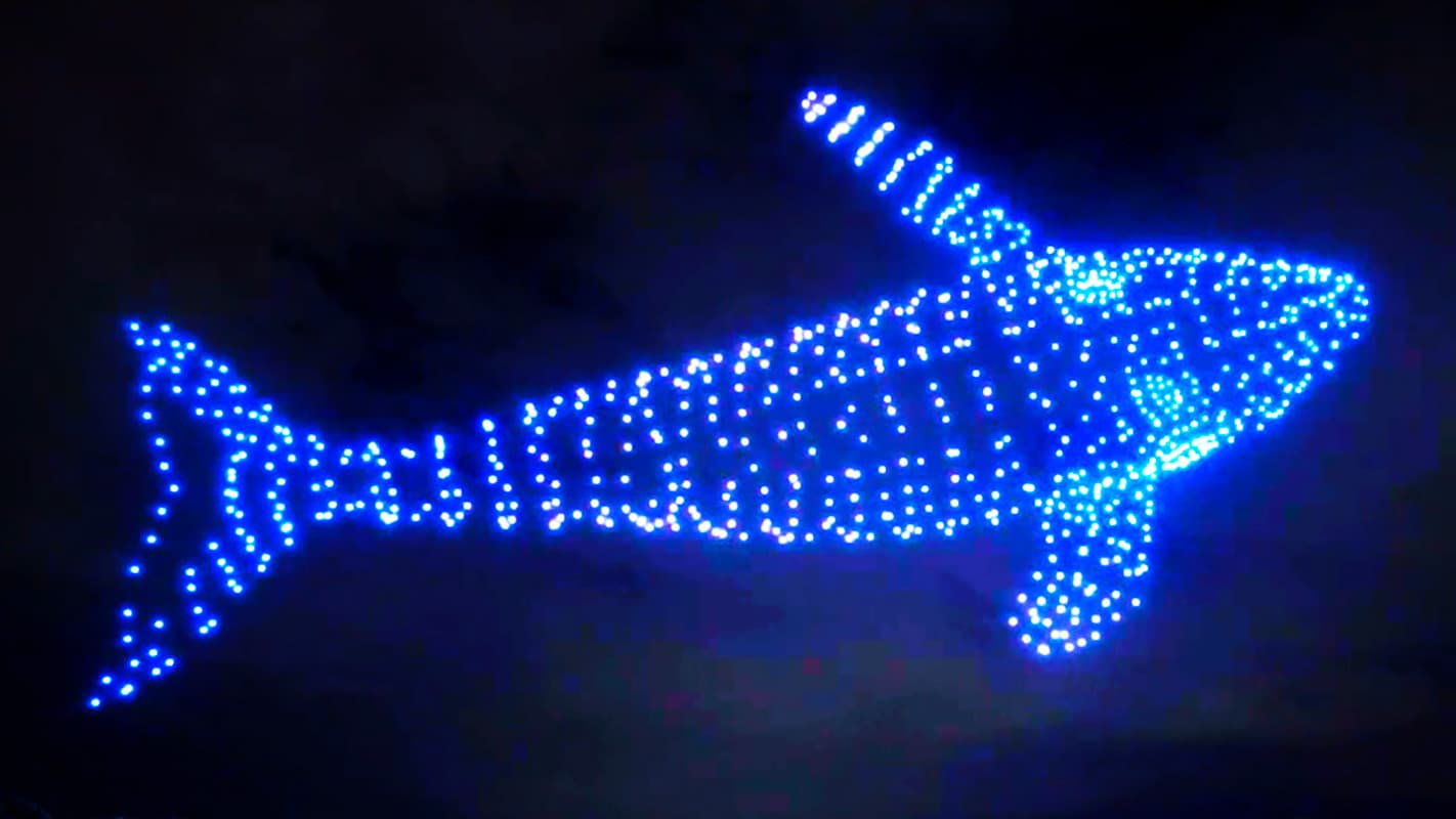 Drone Show