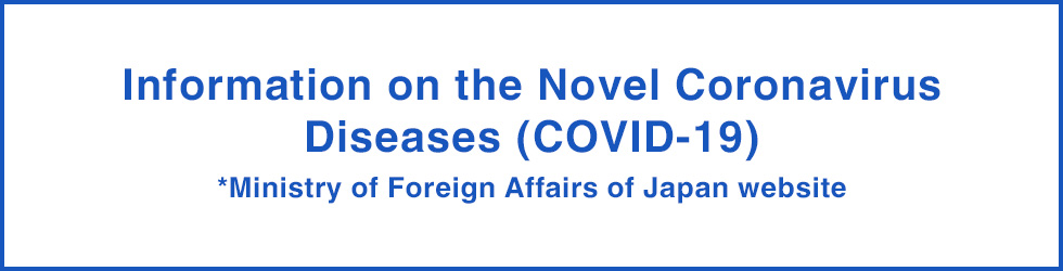 Information on the Novel Coronavirus Diseases (COVID-19)