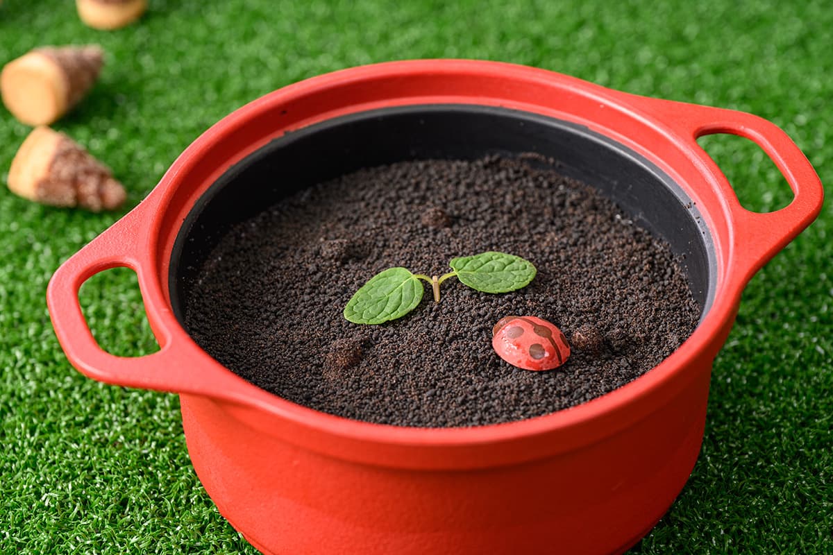 探しだそう！収穫プリン