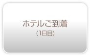 ホテルご到着(1日目)