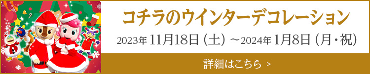 コチラのウインターデコレーション