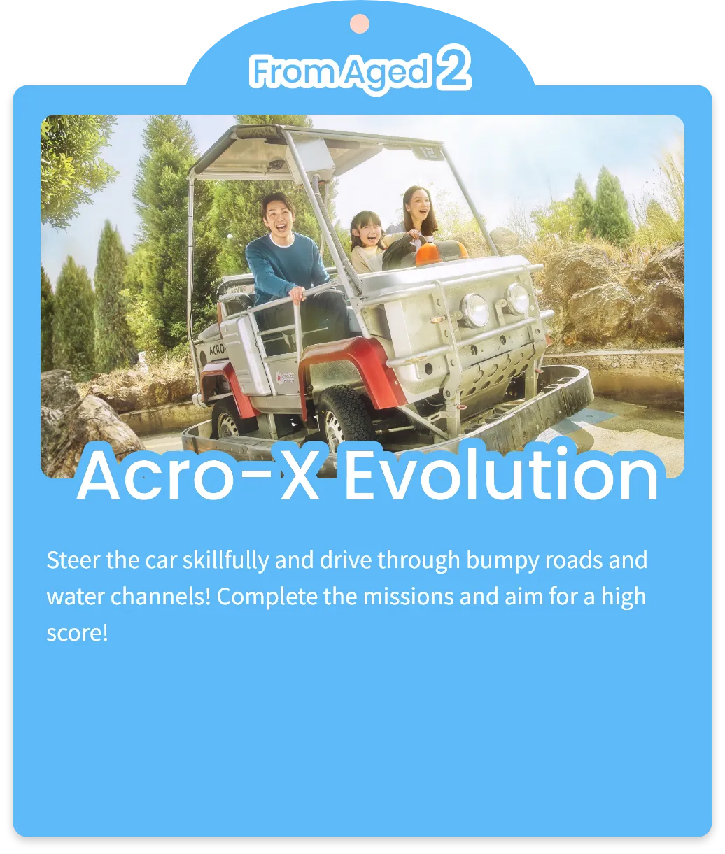 Acro-X Evolution
