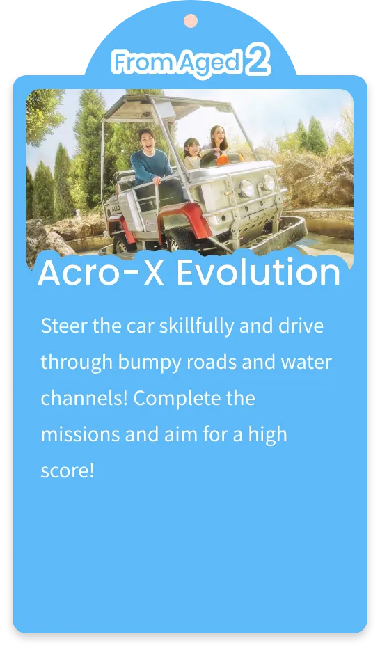 Acro-X Evolution