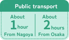 Public transport