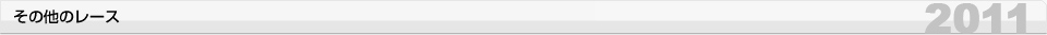その他のレース