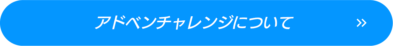アドベンチャレンジについて