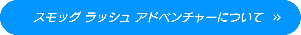 スモッグ ラッシュ アドベンチャーについて